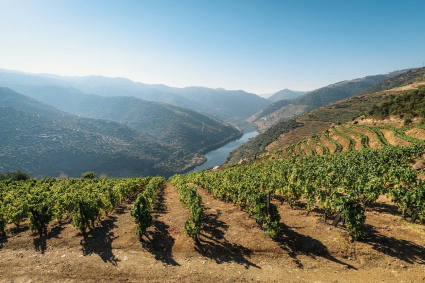 green trees on mountain under blue sky during daytime, Duoro Valley, Portugal