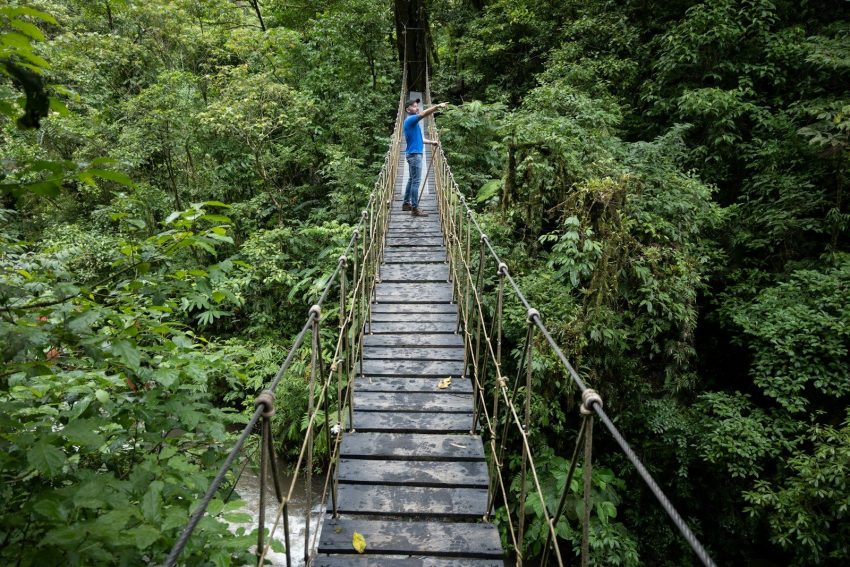 a person standing on a suspension bridge in the middle of a forest, Monteverde, Costa Rica