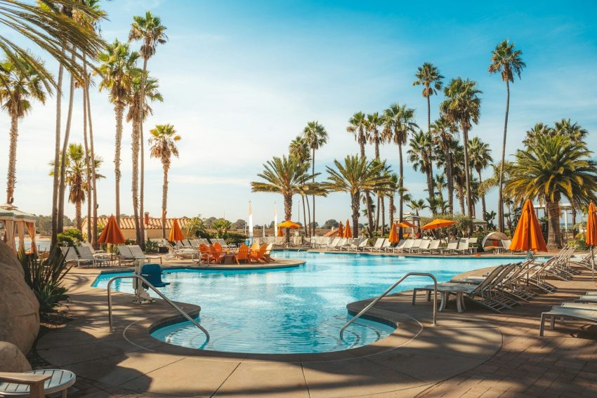 swimming pool near palm trees during daytime
