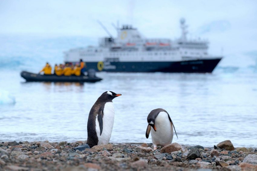 two penguins on shore with an Antarctic cruise ship in the background