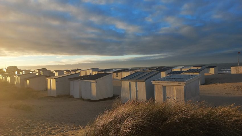 a row of sheds