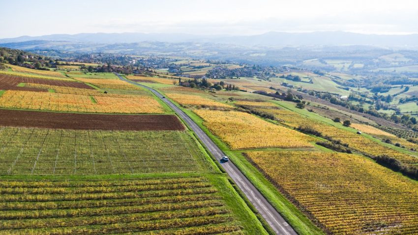 An aerial view of a road running through a field