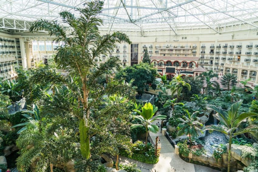 gaylord palms hotel, orlando, florida, garden view, scene, architecture, scenery, garden, water, buildings, scenic, nature, green building, green hotel