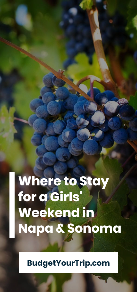 The Best Vacation Rentals for a Girls' Weekend in California Wine Country - Napa & Sonoma (February 2024) | Budget Your Trip