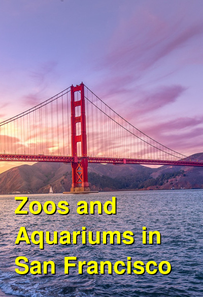 the-best-zoos-and-aquariums-in-san-francisco
