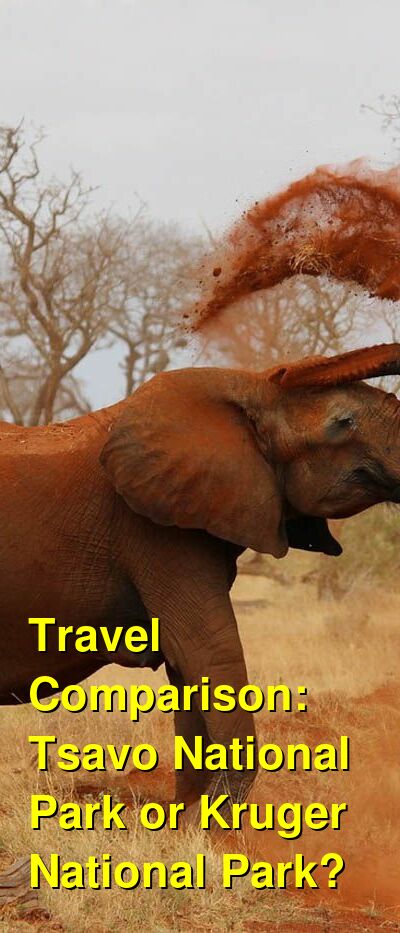 Tsavo National Park vs. Kruger National Park Travel Comparison