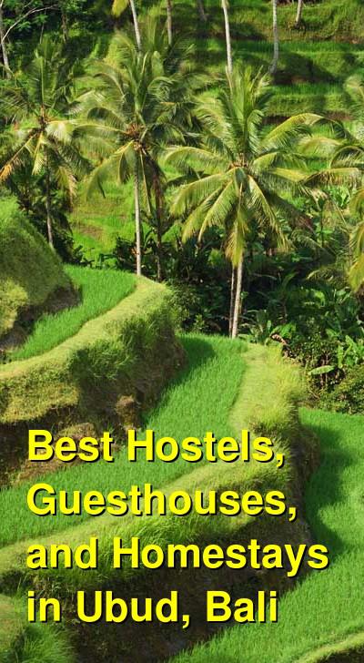 Best Hostels, Guesthouses, and Homestays in Ubud, Bali | Budget Your Trip