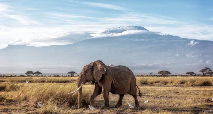 Africa