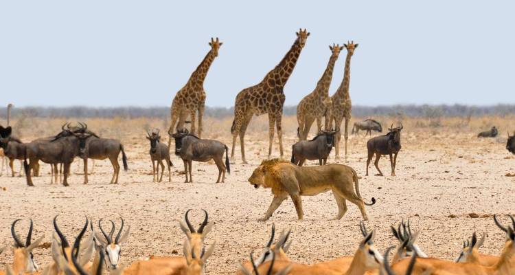 Namibia