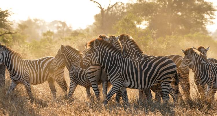 Southern Africa