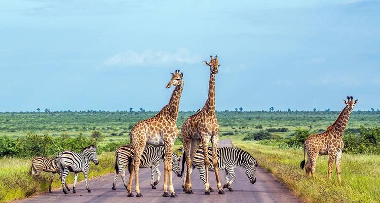 Swaziland
