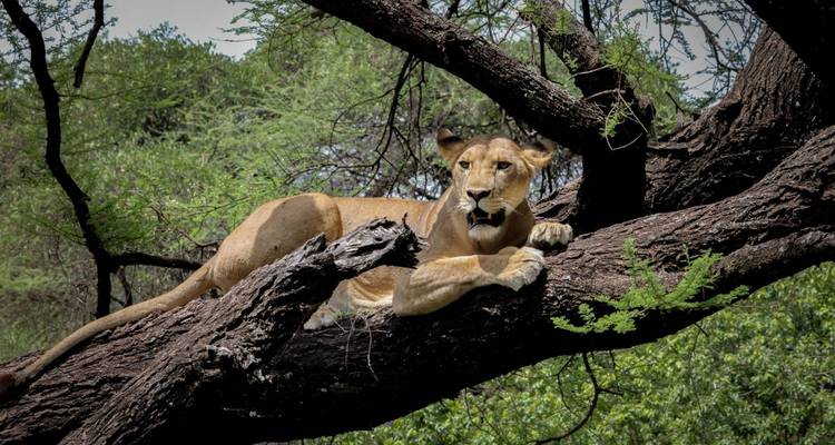 Namibia