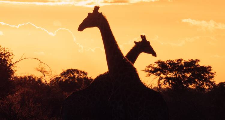 Botswana