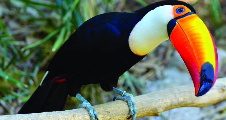 Costa Rica