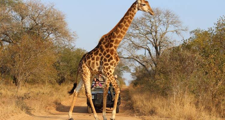 Zambia