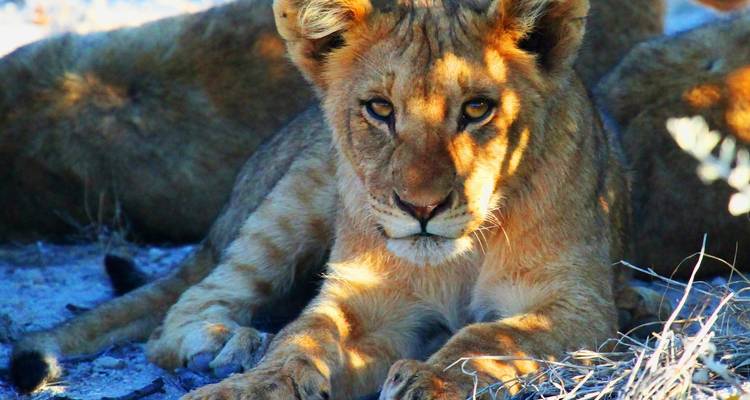 Southern Africa