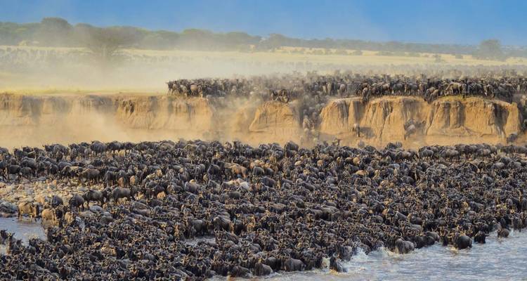 Africa