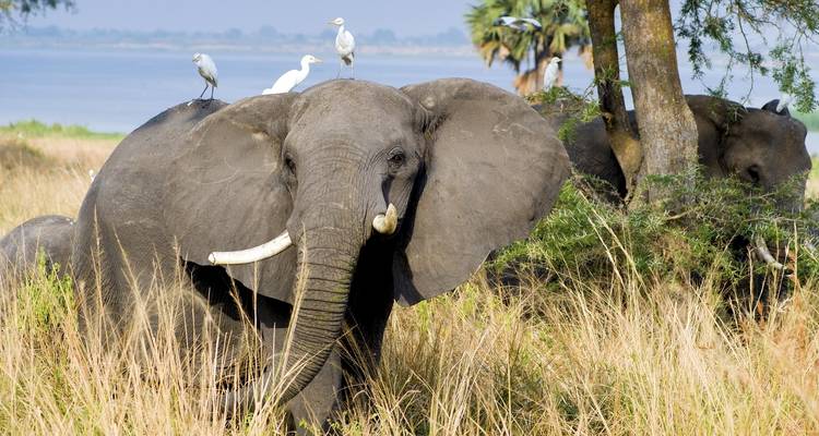 Botswana