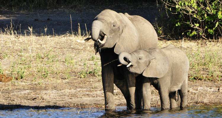Southern Africa