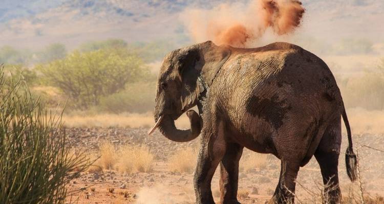 Namibia