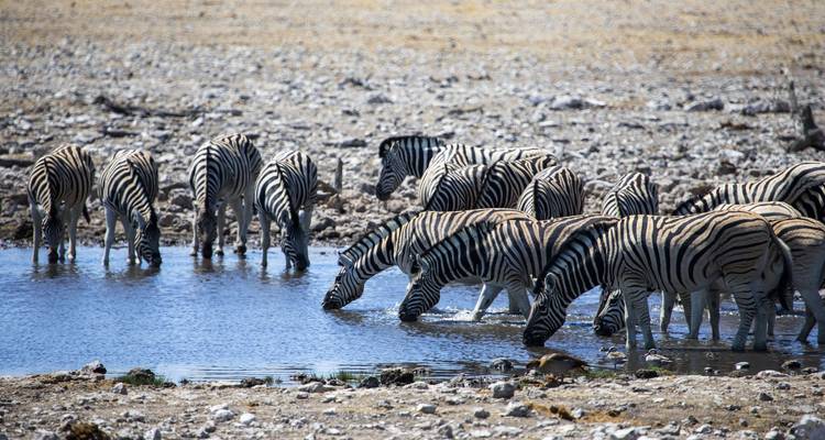 Namibia