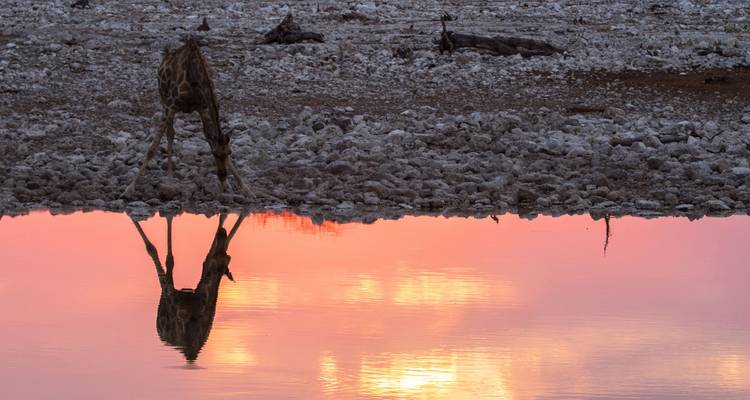 Southern Africa