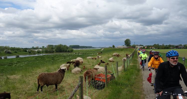 Netherlands