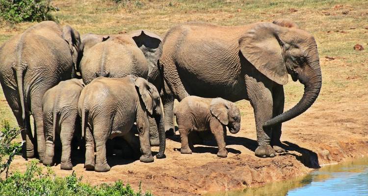 South Africa