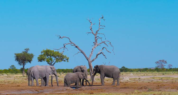 Southern Africa