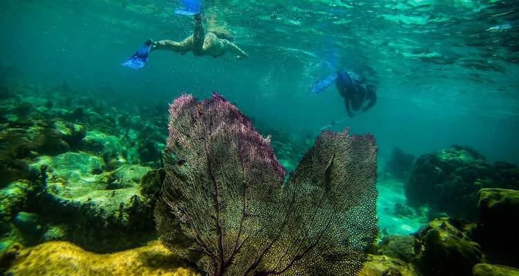 Belize
