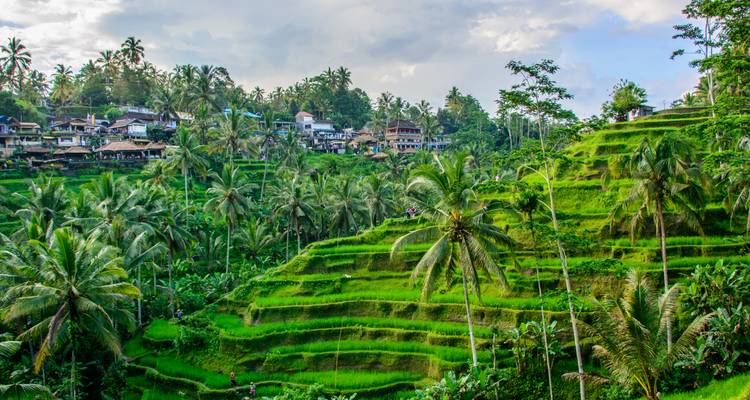 Indonesia