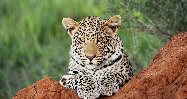 Namibia