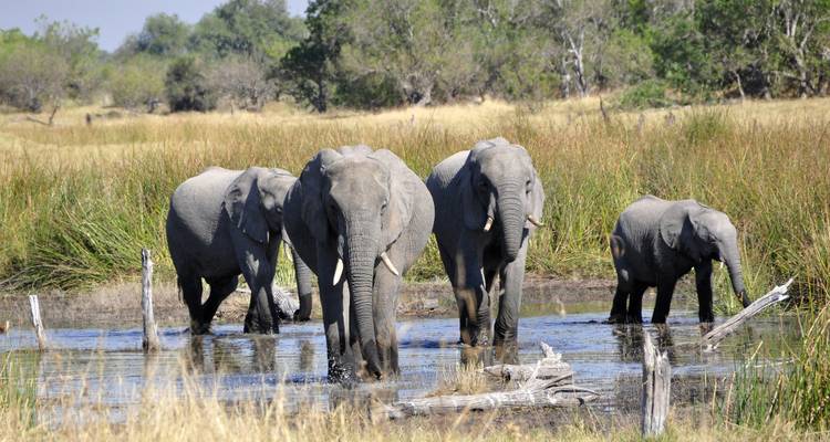 Southern Africa