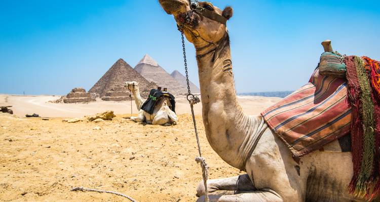 Egypt