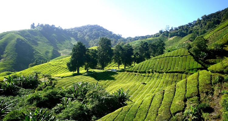Malaysia