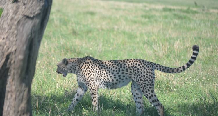 Kenya