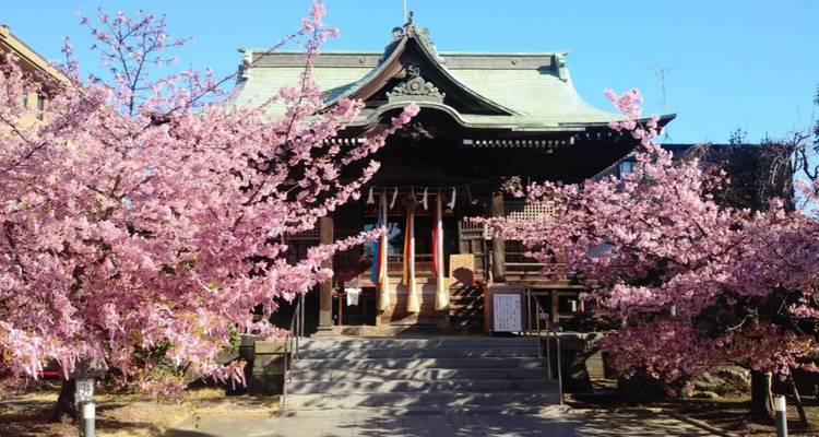 Japan