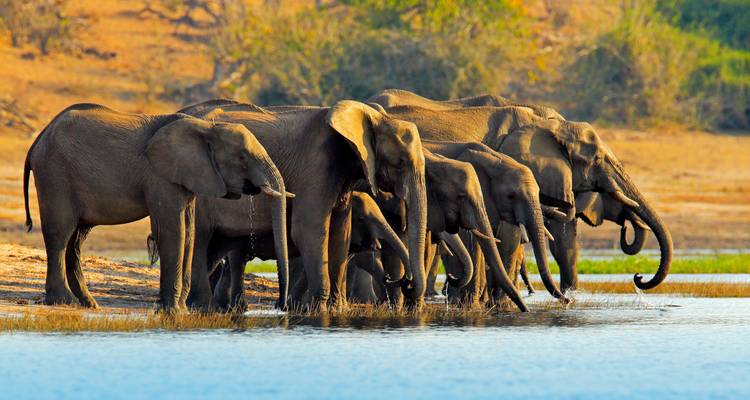 Botswana