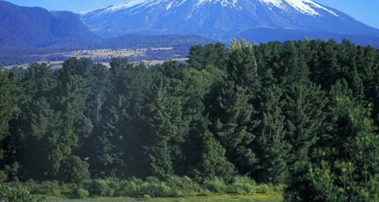 Chile