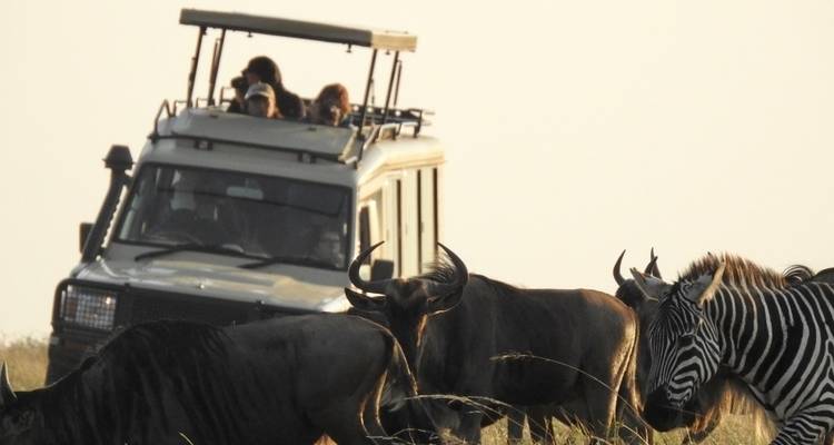 Tanzania