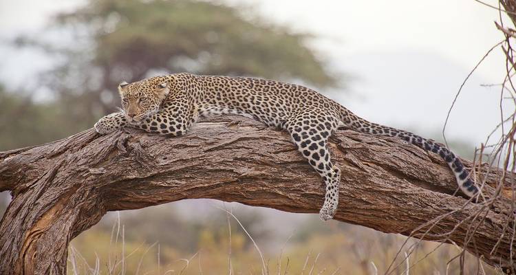 Rwanda