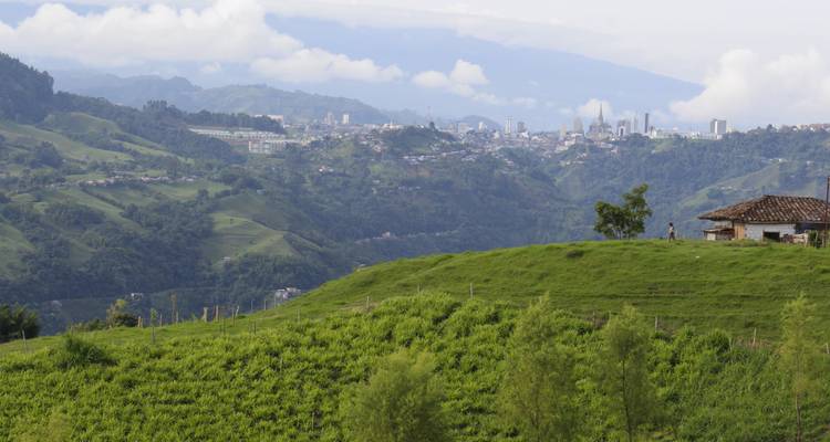 South America
