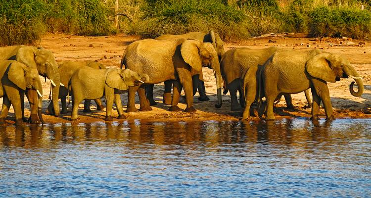 South Africa