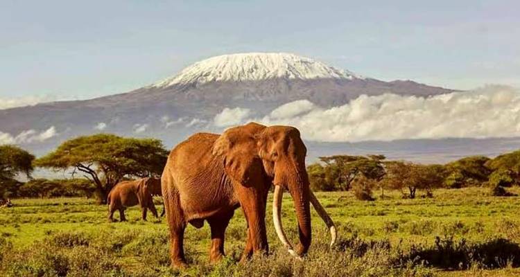 Kenya