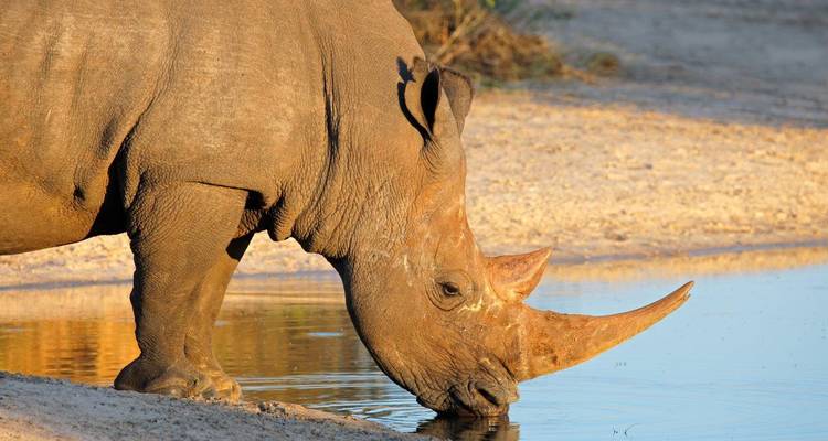 South Africa