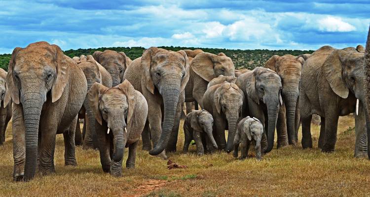 South Africa