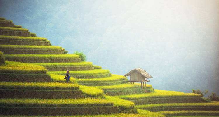 Cambodia