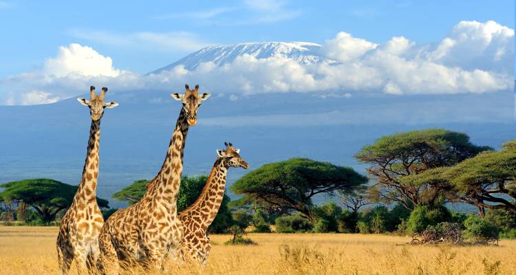 Kenya