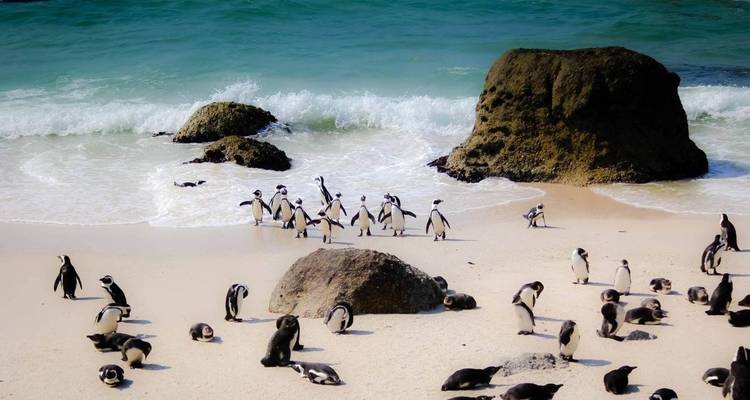 South Africa