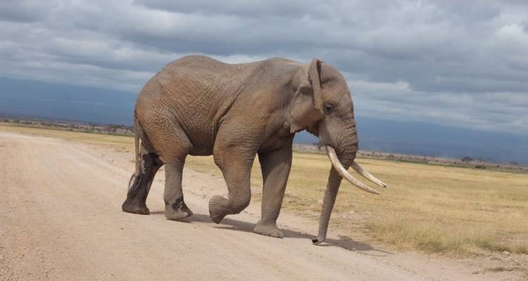 East Africa